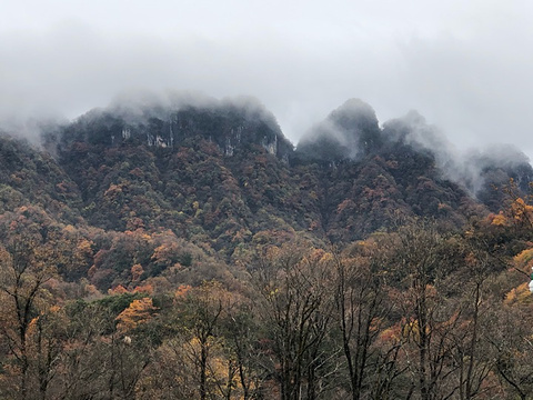 光雾山旅游景区旅游景点攻略图