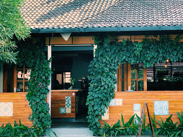 "✨巴厘岛探店｜喝咖啡吗，假装在森林的那种_toolbox restaurant"的评论图片
