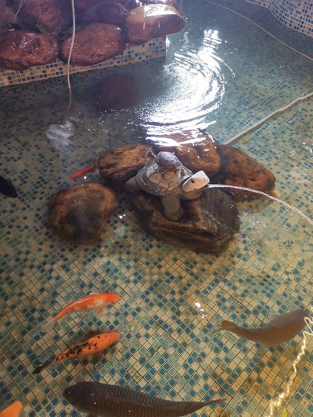 御膳粥(大良店)