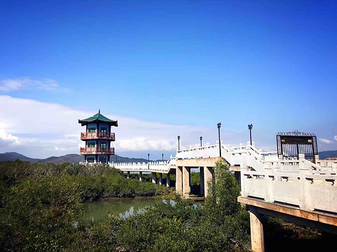 盐洲岛旅游景点攻略图