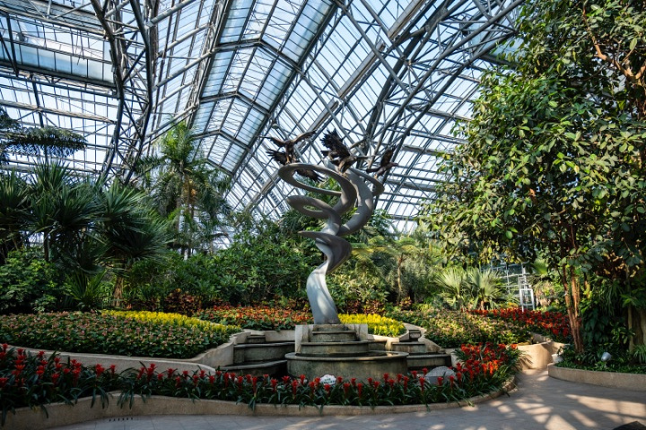 "重庆南山植物园游览攻略_重庆"的评论图片