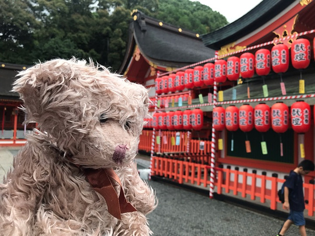 "热闹的不像神社的神社_伏见稻荷大社"的评论图片