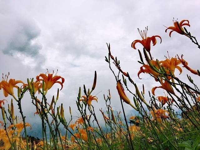 六十石山风景区