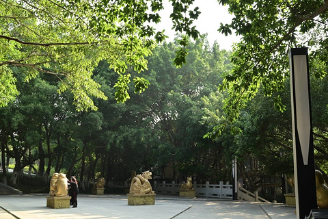 鹤鸣山景区旅游景点攻略图