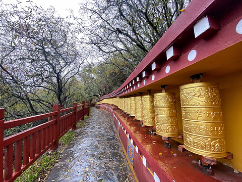 卡久寺旅游景点图片