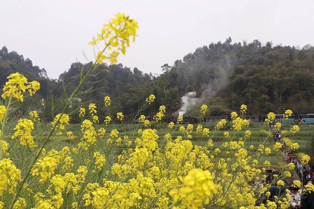 嘉阳国家矿山公园