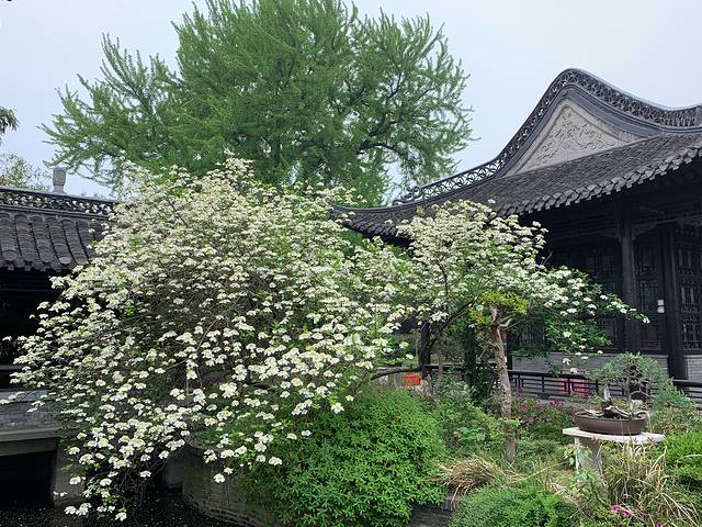 琼花观(文昌中路)