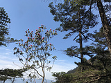 神农架旅游景点攻略图片