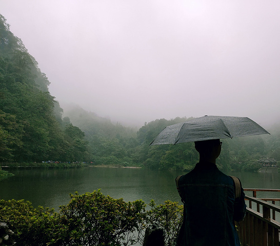 21恰逢去的时候下雨 景色非常幽静 漂亮 2 景点意义 是很多电影 电视剧的取景地 非常漂亮 青城山 评论 去哪儿攻略