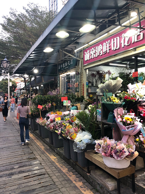 荷兰花卉小镇图片