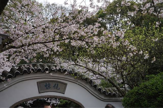 太湖鼋头渚风景区-具区胜境