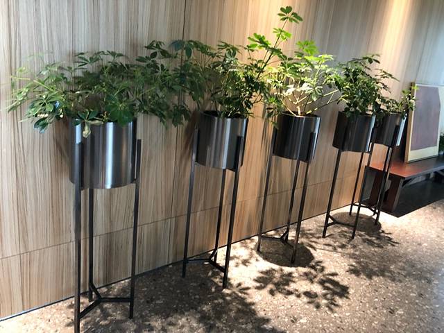 猫的天空之城概念书店(北戴河蔚蓝海岸店)