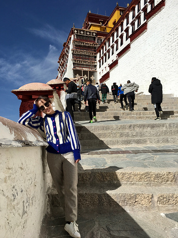 "布达拉宫可以说是最能代表西藏的象征，怎么评价它也不过份。去西藏不去布达拉宫，等于没有去西藏_布达拉宫"的评论图片