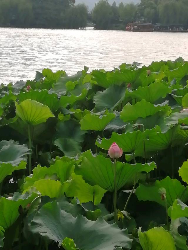 灵隐飞来峰景区