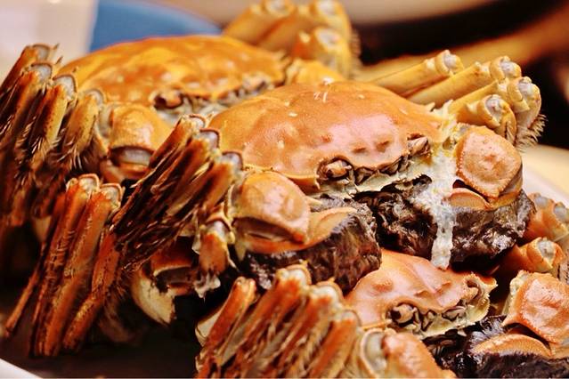 田园居(桑田路店)