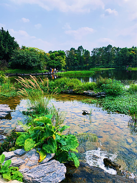 海珠国家湿地公园旅游景点攻略图
