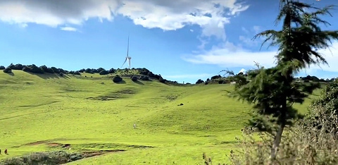 杨柳村草甸旅游景点攻略图