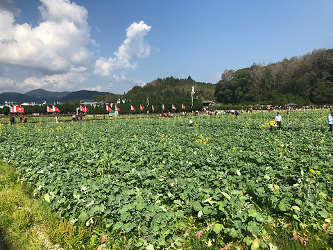 古田镇旅游景点图片