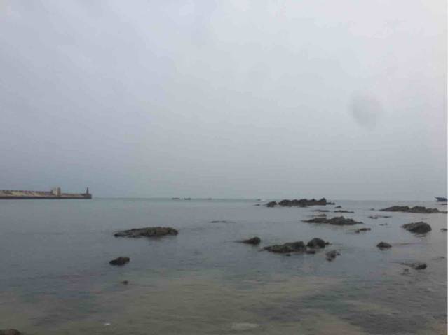 冠头岭国家森林公园赶海体验