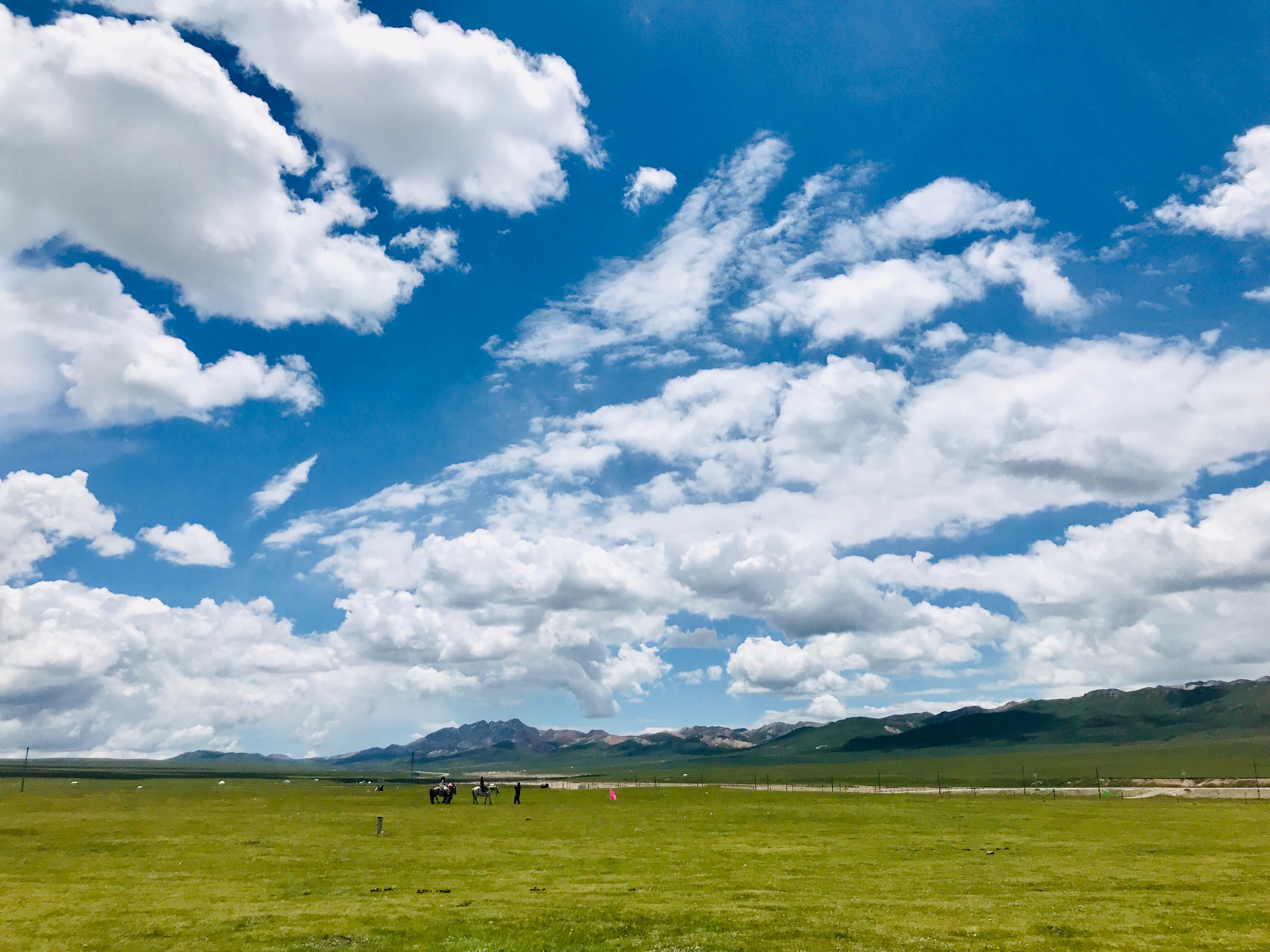 距离沈阳最近的草原旅游区——内蒙古科尔沁查日苏浩坦草原风景区