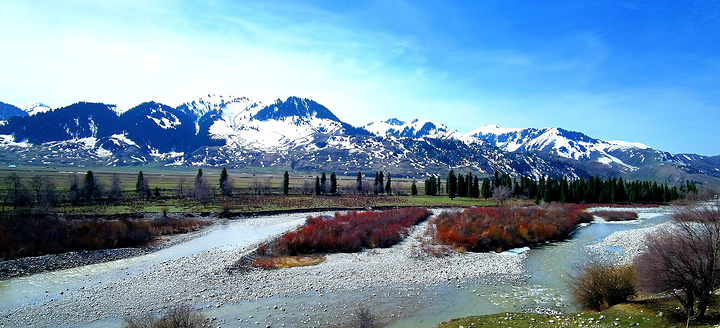 "是新疆伊犁著名的草原之一，素有“百里画廊”之美称，这里蓝天白云，云杉密布，苍翠挺拔，冰封雪岭，..._唐布拉风景区"的评论图片
