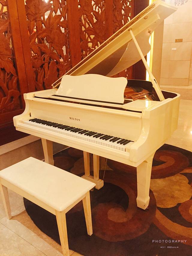 田园沐屋时尚酒楼宴会厅