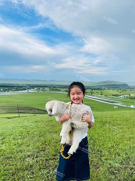 呼伦贝尔大草原旅游景点攻略图