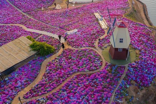 雨花谷生态观光园