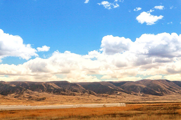 "人生如行路，一路艰辛，一路风景。终于到达西藏界啦_东达山"的评论图片