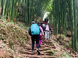 邛崃旅游景点攻略图片