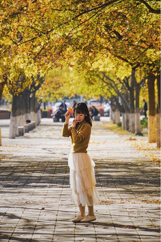 "秋天的奥森公园  一片秋色_北京"的评论图片
