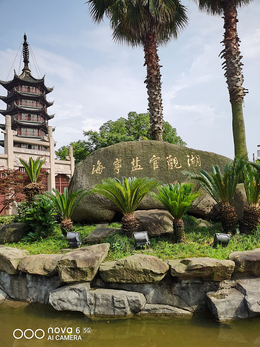 1日游-海宁旅游攻略-游记-去哪儿攻略