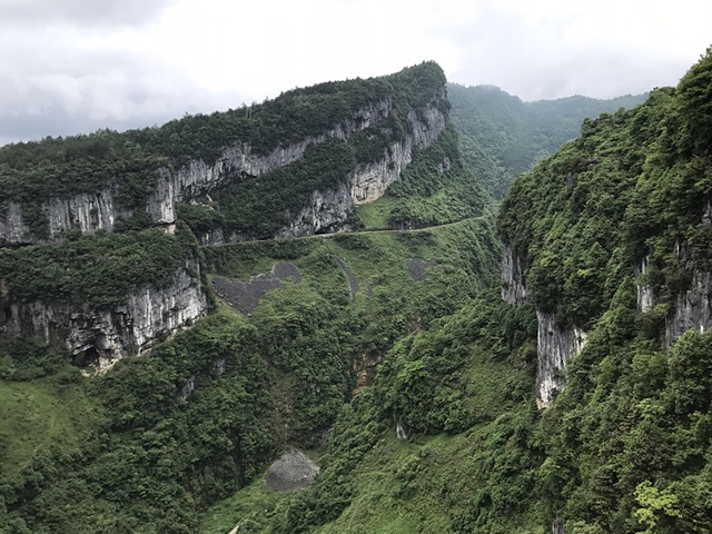 "🌸天坑地缝 | 距离重庆最近的喀斯特地貌自然景观_武隆"的评论图片