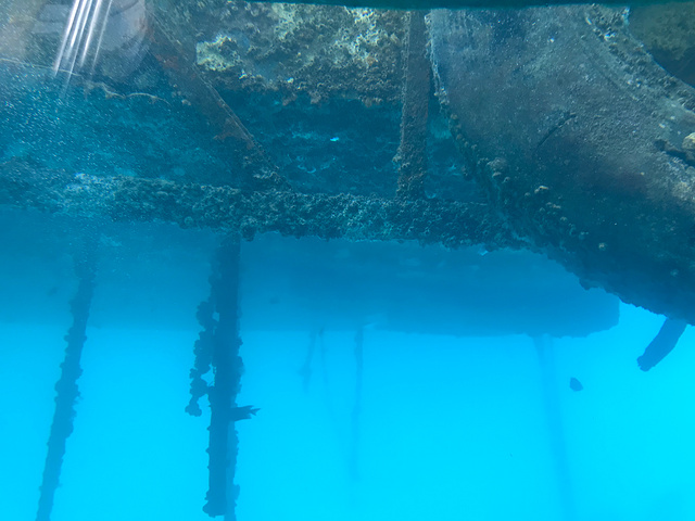 "据说是目前中国唯一一艘全潜式海底观光潜水艇，活体珊瑚与珊瑚标本共存的珊瑚区，展示南海海捞瓷文化..._分界洲岛潜水"的评论图片