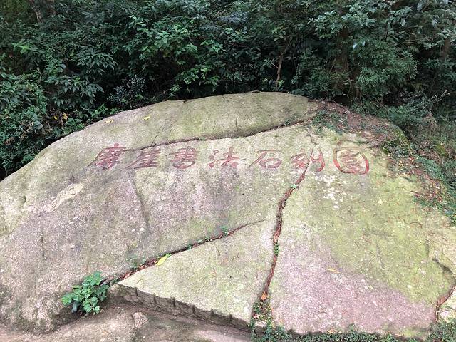 黄花山国家森林公园