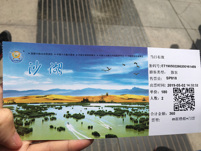 "...酒，上次去郑州本来也想吃黄河鲤鱼但是也没吃，可能跟它没缘吧哈哈，在沙湖好好玩确实需要一天时间的_沙湖生态旅游区"的评论图片