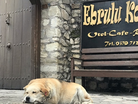 21番红花城 旅游攻略 门票 地址 问答 游记点评 萨夫兰博卢 番红花城 旅游旅游景点推荐 去哪儿攻略