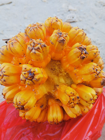 这东西(山菠萝,又名露兜)好看,味道就不想了,看一下就行