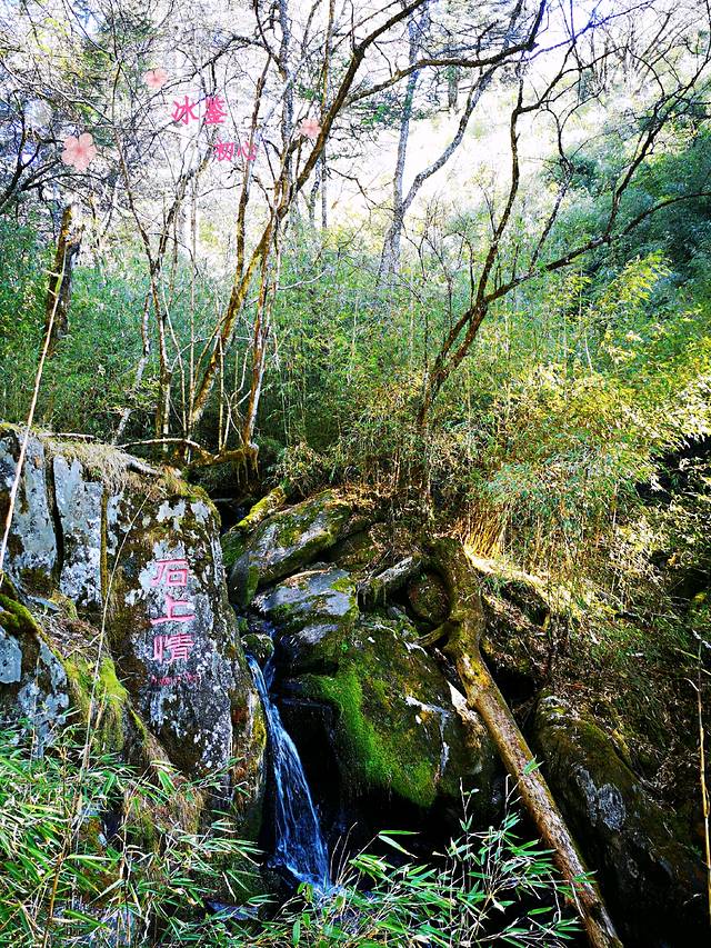 5 分 我要點評 自然風光峽谷森林山地質地貌自然保護區 神農架林區