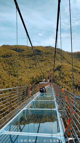 "玻璃桥单独收费，却不限风光一座观望亭，一座玻璃桥，2个小时的时间，_中国大竹海"的评论图片