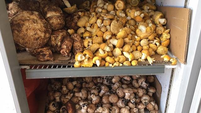 九九鲜菌火锅城