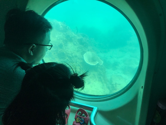 "据说是目前中国唯一一艘全潜式海底观光潜水艇，活体珊瑚与珊瑚标本共存的珊瑚区，展示南海海捞瓷文化..._分界洲岛潜水"的评论图片