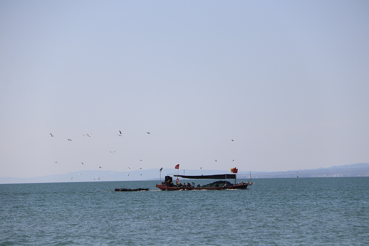 "乌伦古湖也叫福海，素以“戈壁大海”和鲜美“福海鱼”而著称，离海最远的地方，却有着最不输海的魅力_乌伦古湖国家湿地公园"的评论图片