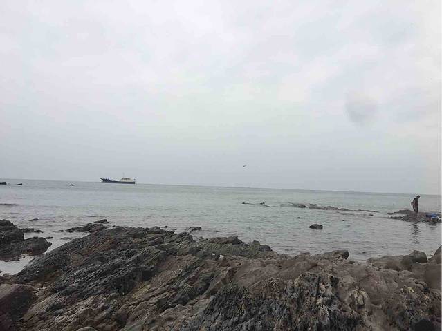 冠头岭国家森林公园赶海体验