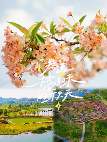 2023美轮美奂——凤仪湾_凤仪湾中法农业科技园-评论-去哪儿攻略