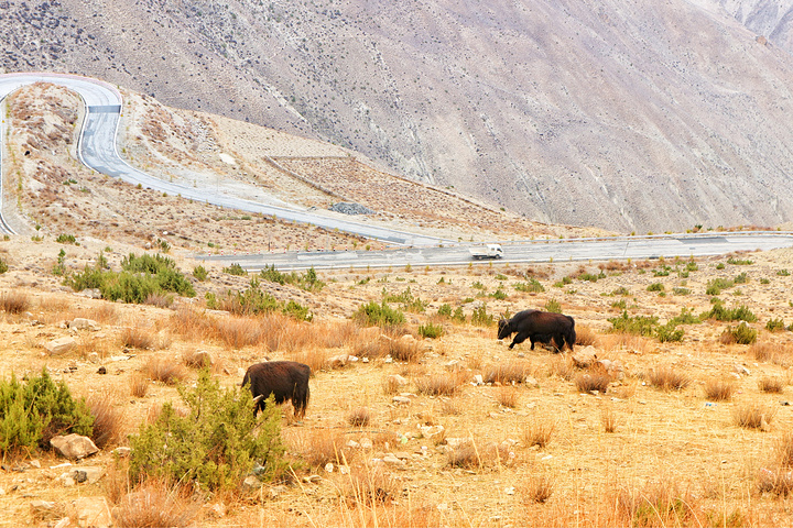 "人生如行路，一路艰辛，一路风景。终于到达西藏界啦_东达山"的评论图片