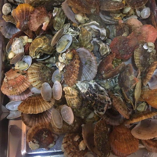 巧克力渔家.小船海鲜家常菜(万平口店)