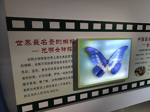 上海昆虫博物馆旅游景点攻略图