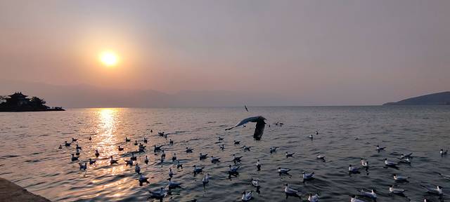 雪山峡谷演艺公园