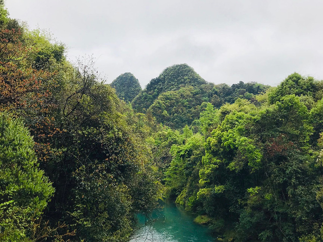 "世界绿宝石-荔波游记_荔波小七孔景区"的评论图片